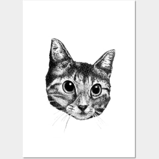 Cat Posters and Art